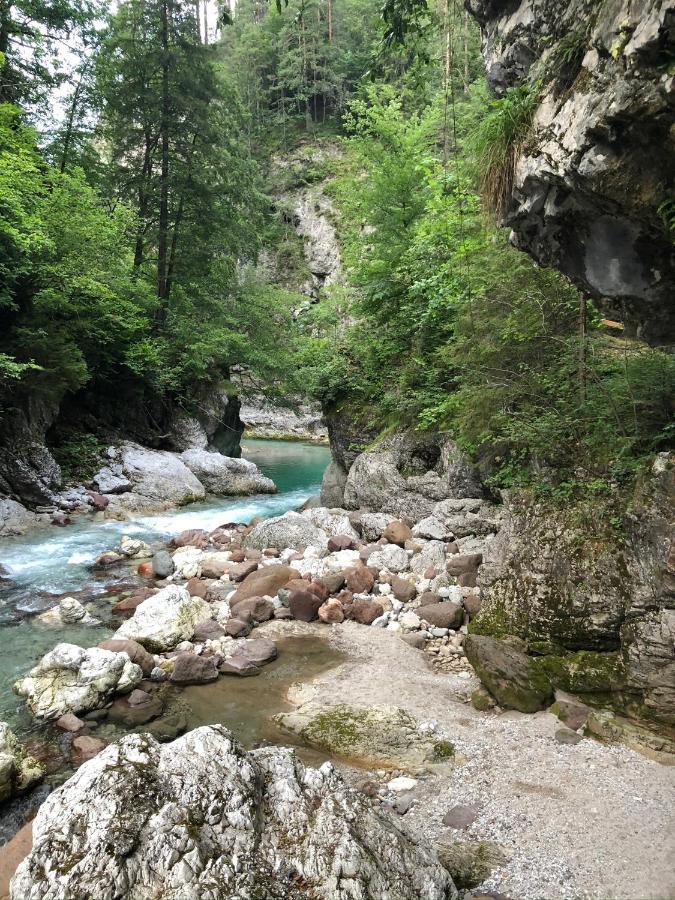Greenwood Holiday Tarvisio Eksteriør bilde